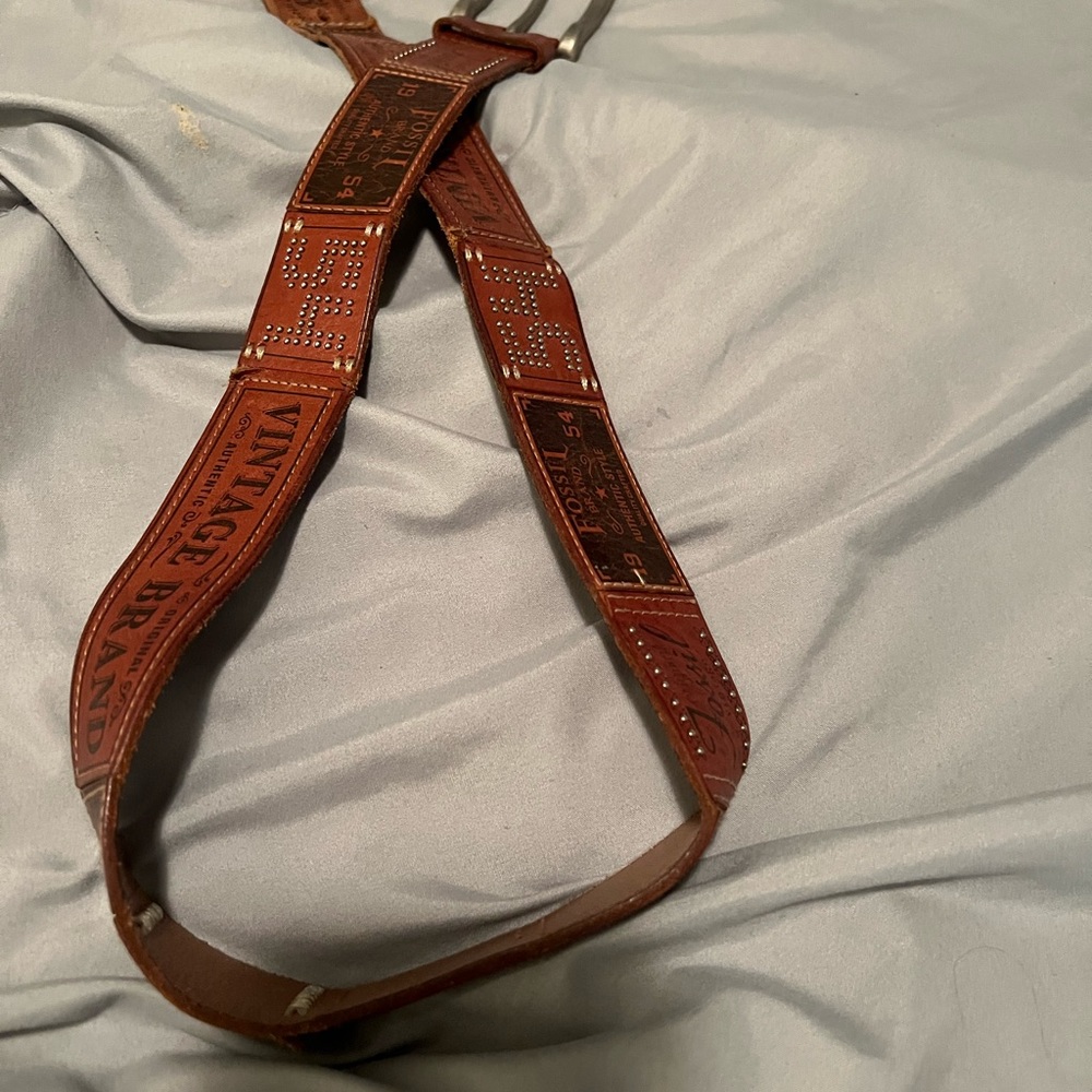 Brown fossil belt